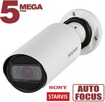 SV3210RZ2 (2.8-12) 5Мп IP Beward
